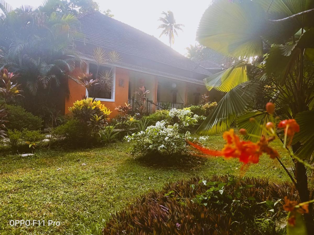 Country Side Inn Portuguese Guest House Cuelim Dış mekan fotoğraf