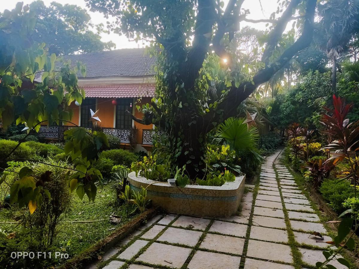 Country Side Inn Portuguese Guest House Cuelim Dış mekan fotoğraf