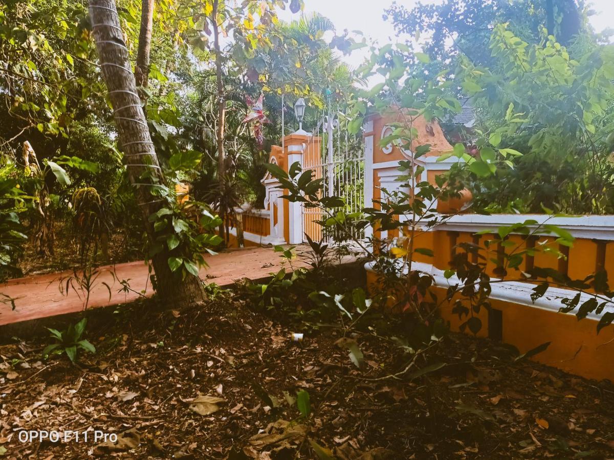 Country Side Inn Portuguese Guest House Cuelim Dış mekan fotoğraf
